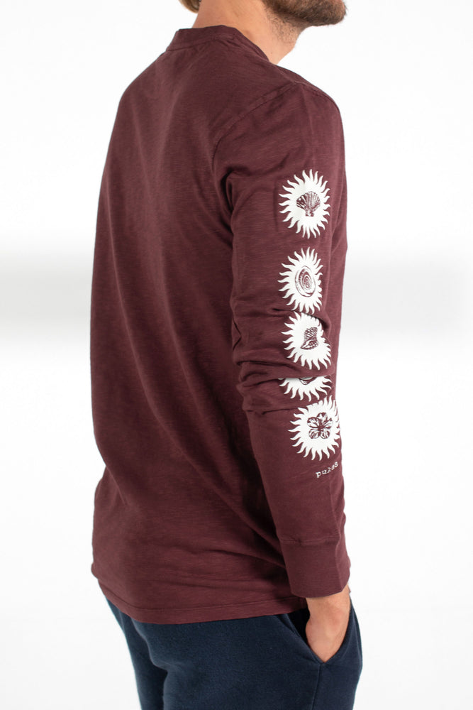 
                  
                    Pukas-Surf-Shop-surfing-the-basque-country-tee-burgundy-5-shells
                  
                