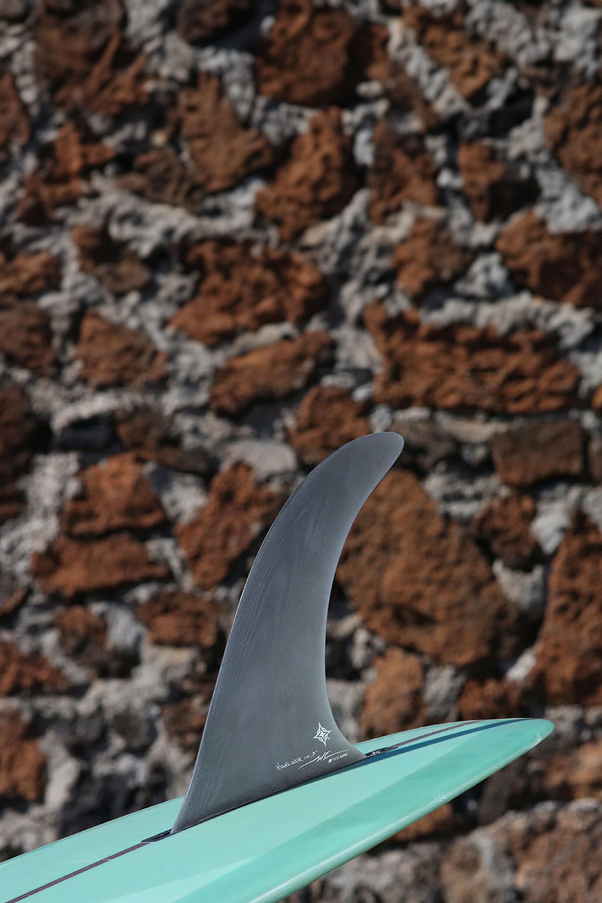 TRUE AMES - TRUE AMES - WAYNE RICH | Shop at PUKAS SURF SHOP