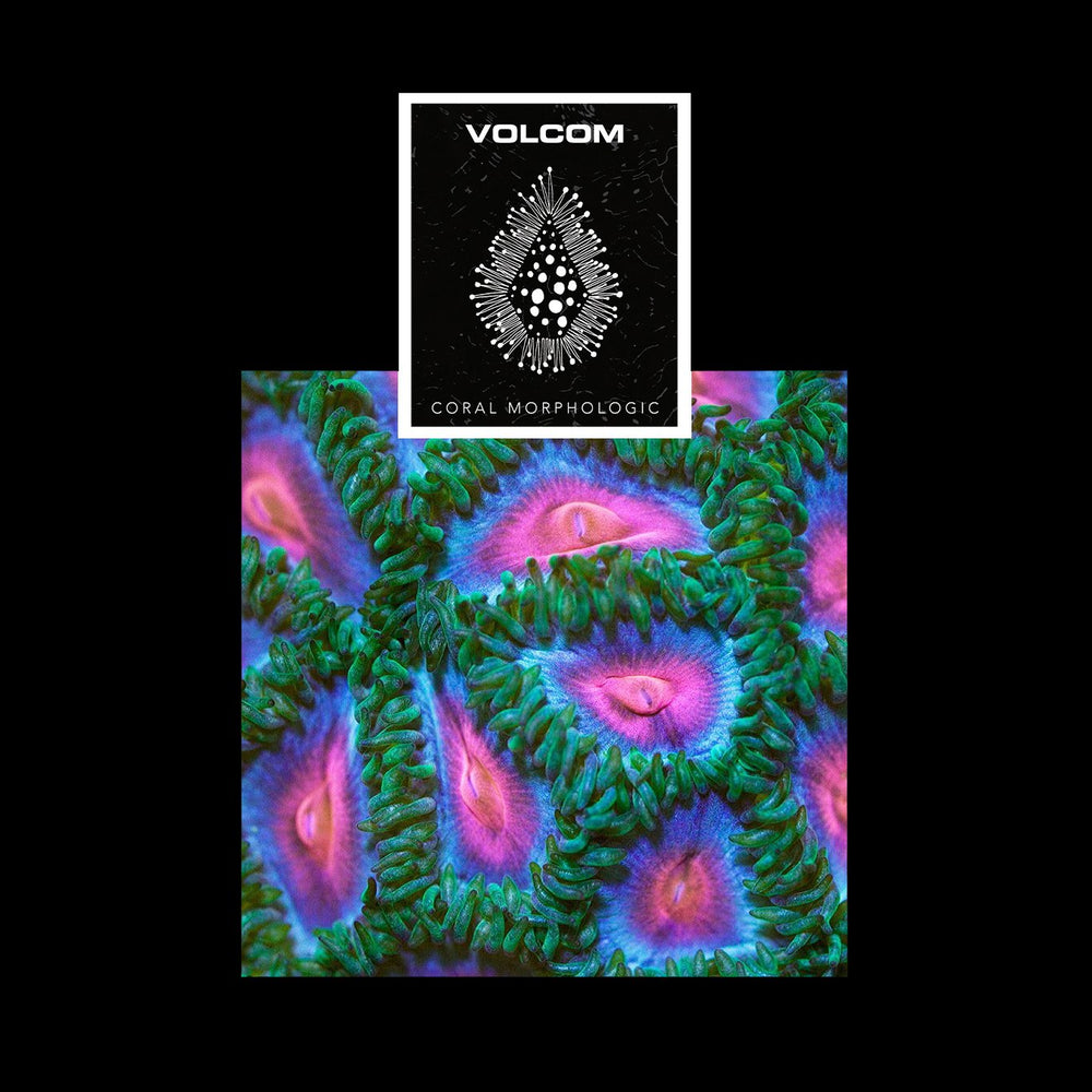 VOLCOM SURF X CORAL MORPHOLOGIC