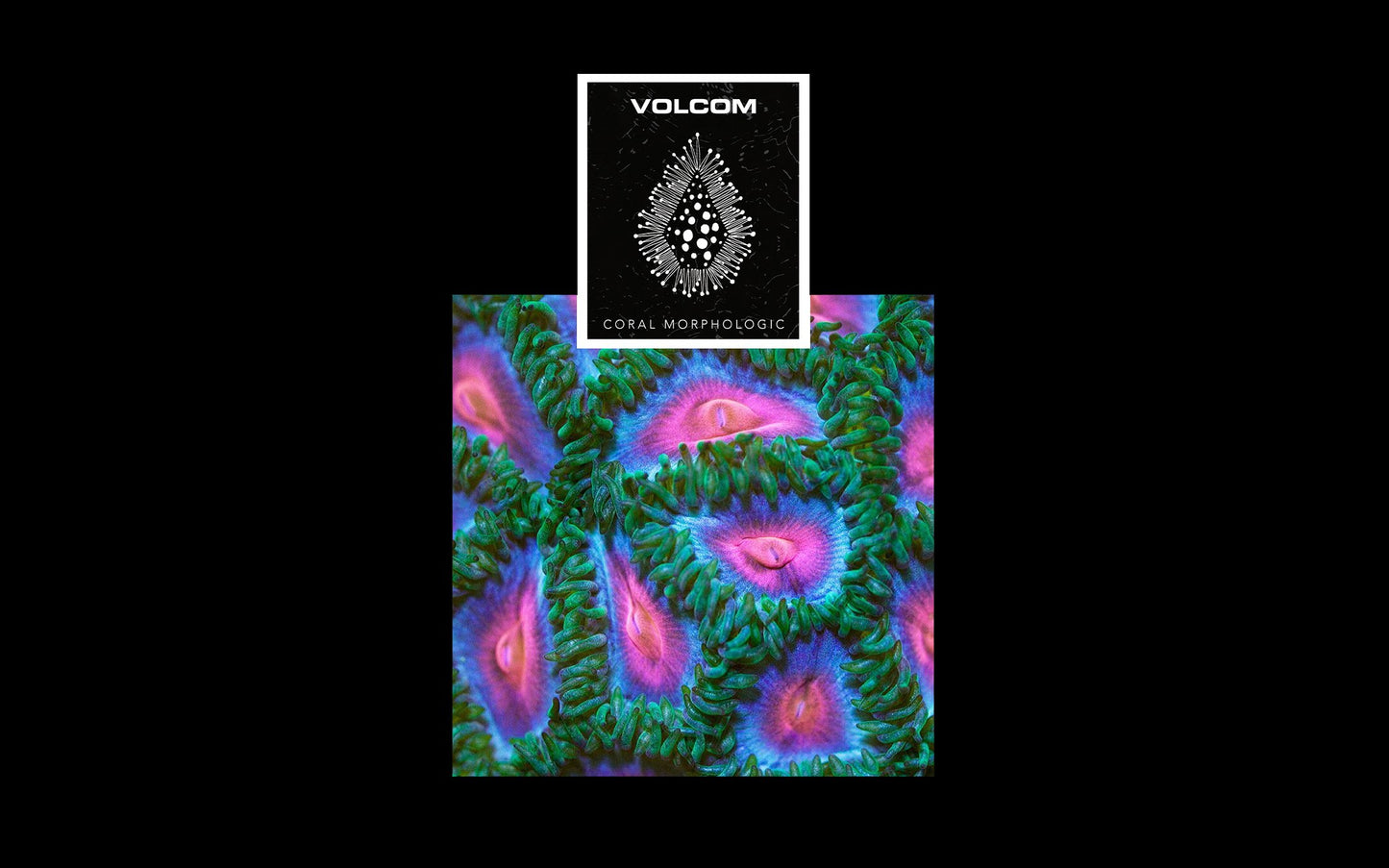 VOLCOM SURF X CORAL MORPHOLOGIC