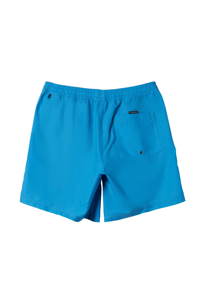 PUKAS-SURF-SHOP-BOARDSHORT-MAN-QUIKSILVER-EVERYDAY-SOIL-VOLLLEY-BLUE