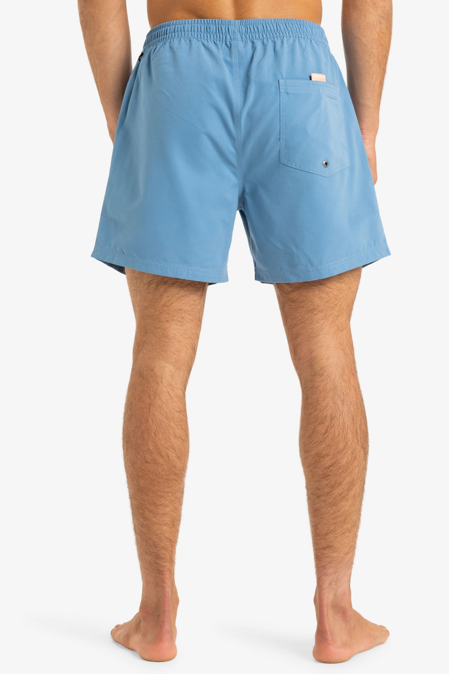 Pukas-Surf-Shop-Boardshort-Man-Quicksilver-Everyday-Solid-15-Coronet