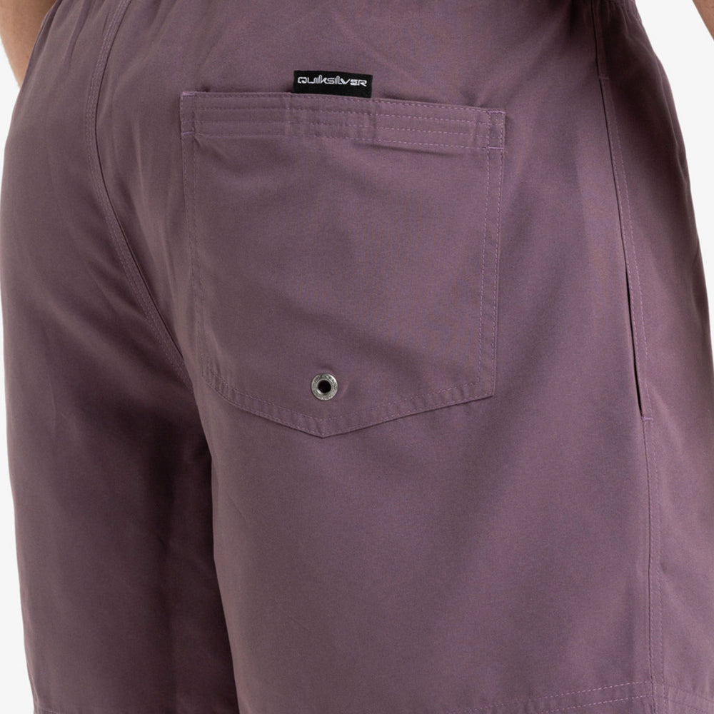 
                      
                        Pukas-Surf-Shop-Boardshort-Man-Quicksilver-Everyday-Solid-Violet
                      
                    