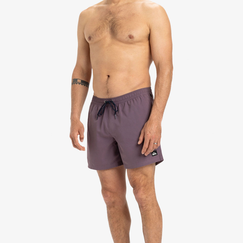 
                      
                        Pukas-Surf-Shop-Boardshort-Man-Quicksilver-Everyday-Solid-Violet
                      
                    