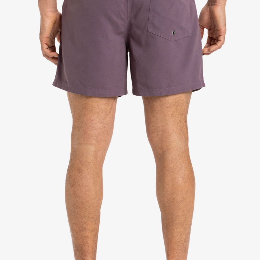 Pukas-Surf-Shop-Boardshort-Man-Quicksilver-Everyday-Solid-Violet