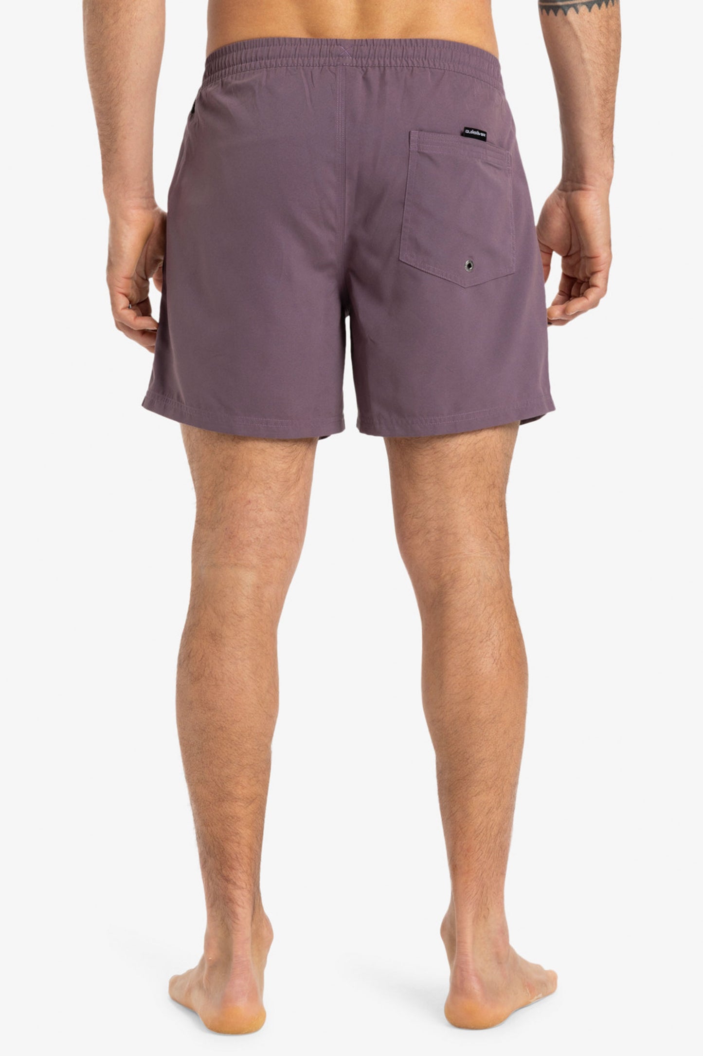 Pukas-Surf-Shop-Boardshort-Man-Quicksilver-Everyday-Solid-Violet