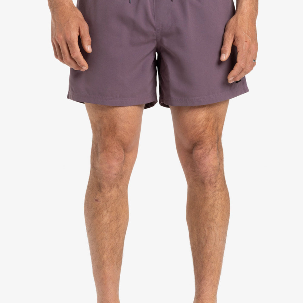 Pukas-Surf-Shop-Boardshort-Man-Quicksilver-Everyday-Solid-Violet