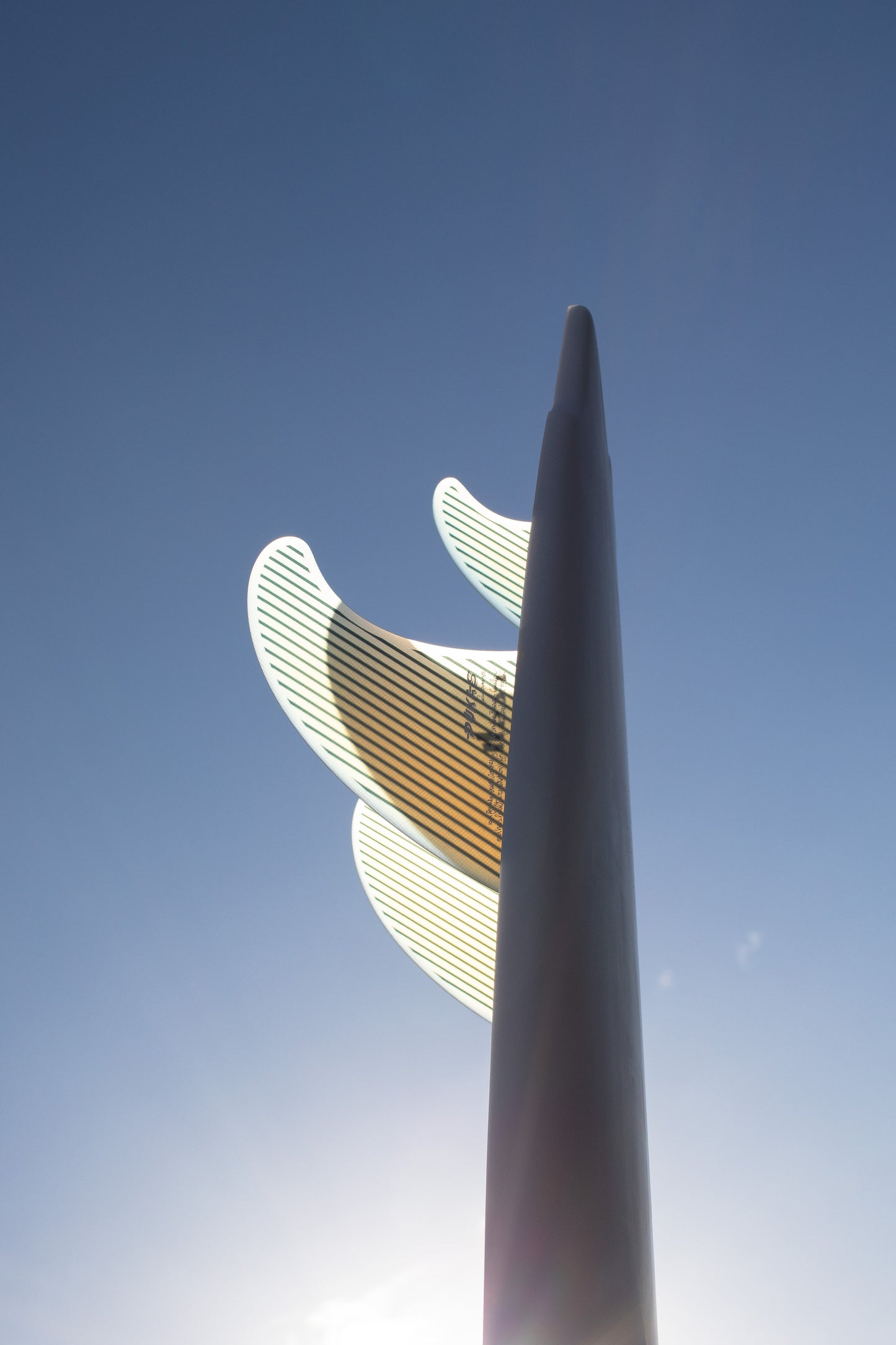 FCS x Pukas 2+1 fin in blue background