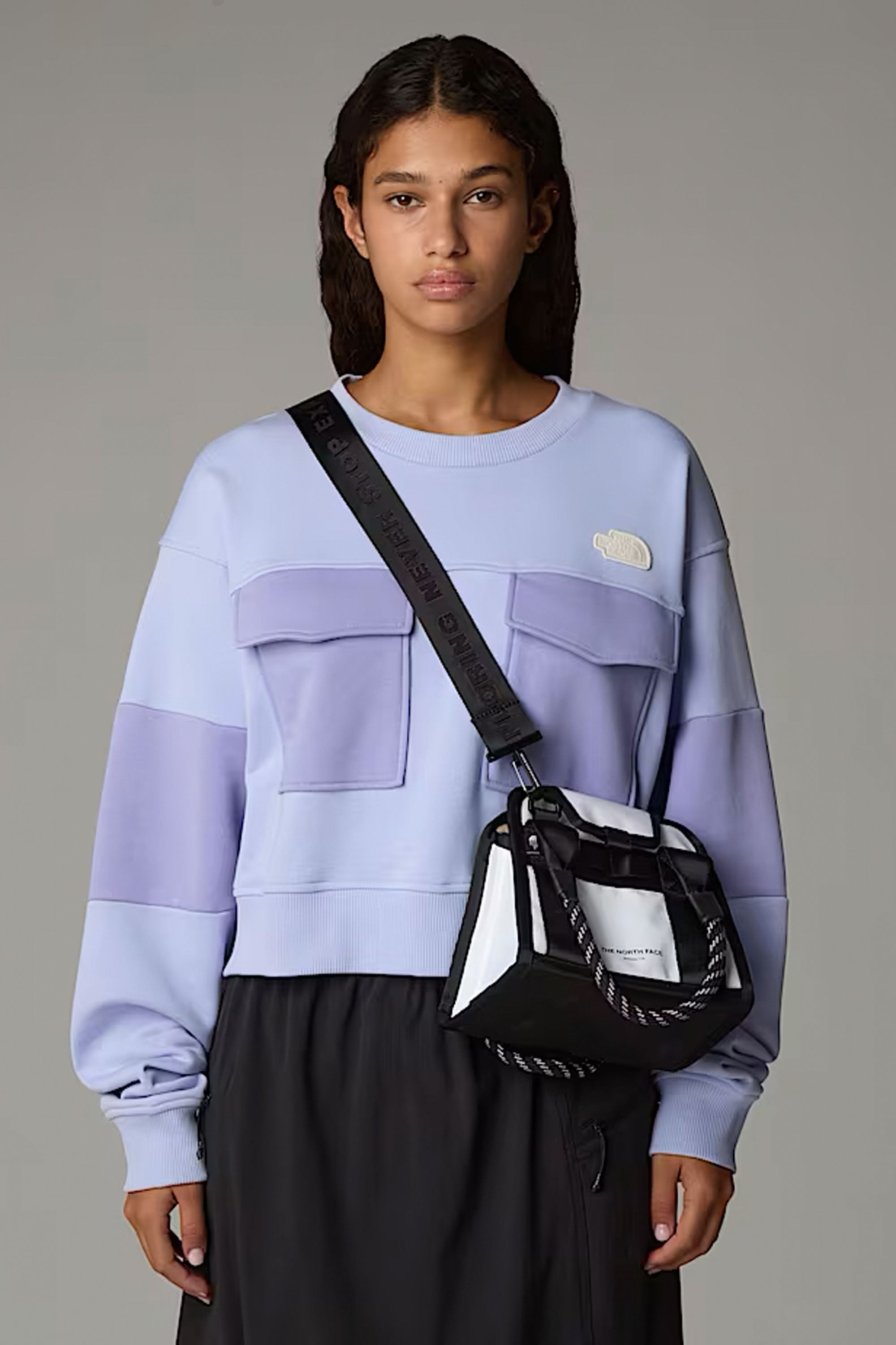 THE NORTH FACE ミニバッグ Base Camp Mini Bag Base Camp Mini Bag | The North Face