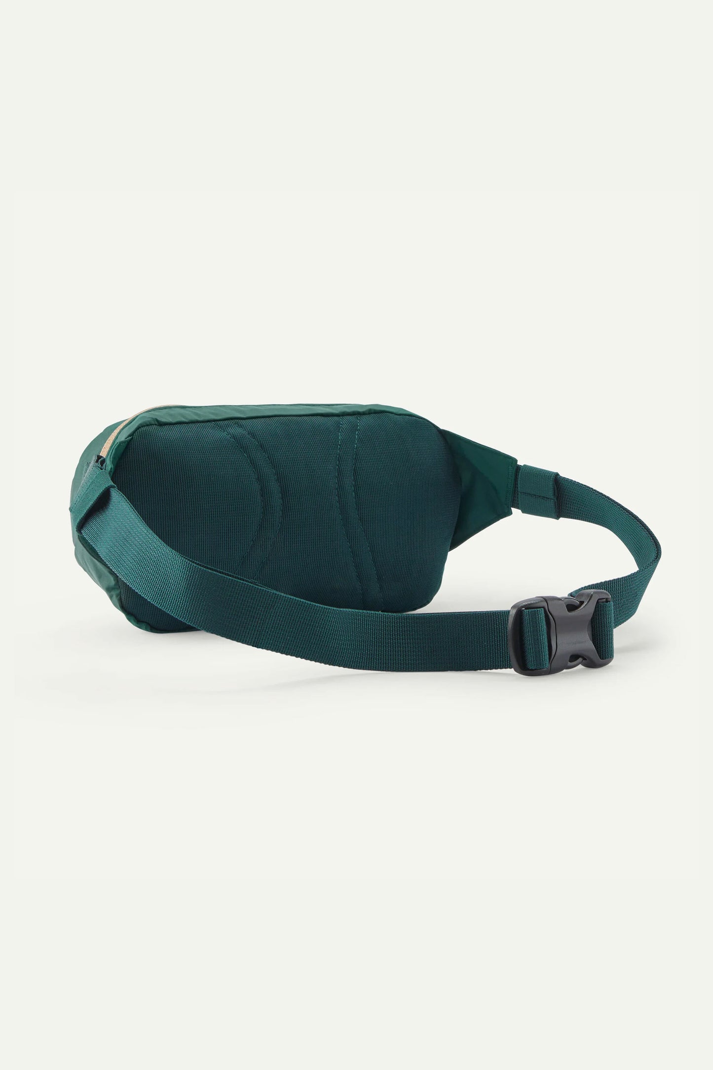 Pukas Surf Shop Patagonia Terravia Mini Hip Pack 1L in Cascade Green