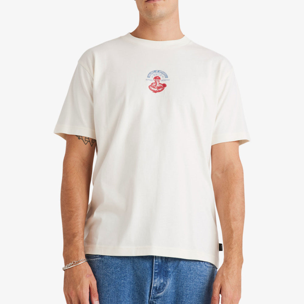 Pukas-Surf-Shop-MAn-Tee-Rvca-Charmer-White