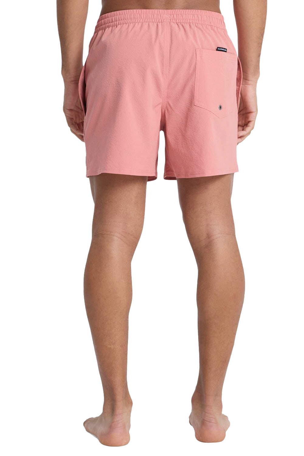 Quiksilver Everyday Flex Volley Desert Sand – men's boardshort | Available at Pukas Surf Shop