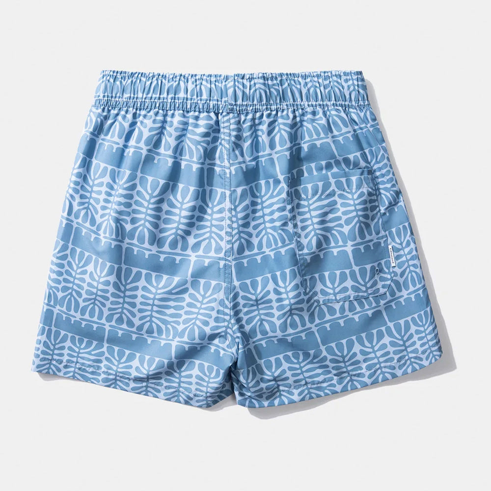 Pukas Surf Shop Man Boardshorts Edmmond Leaves Plain Steel