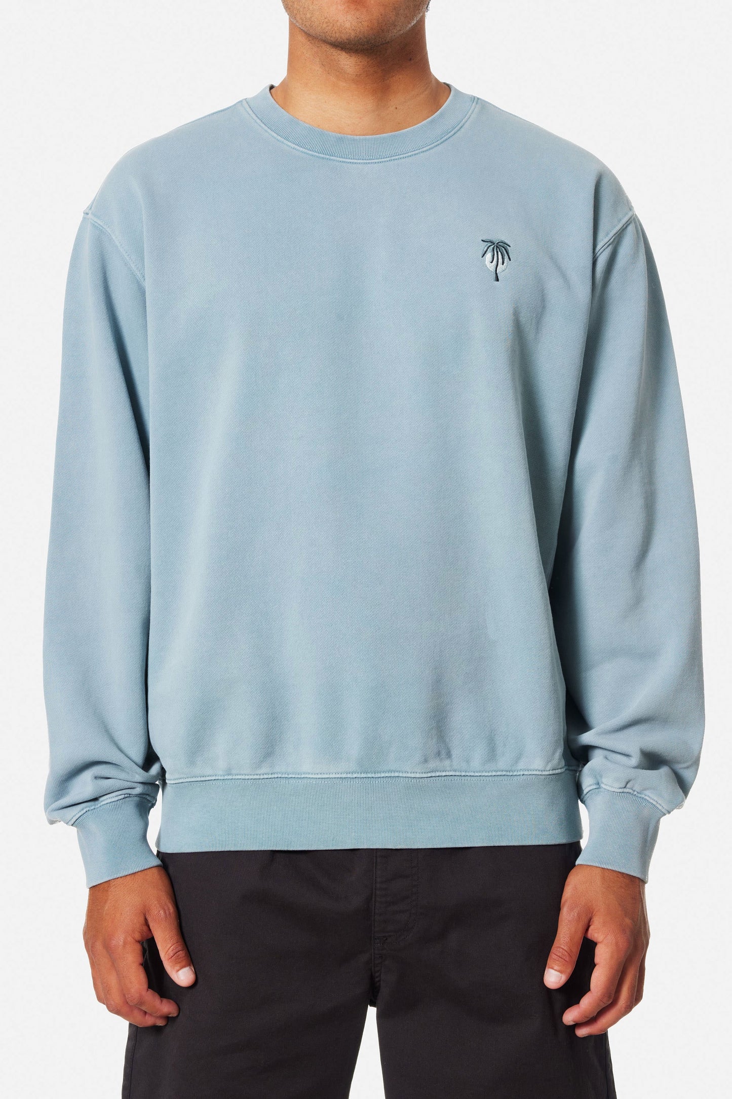 Pukas Surf Shop Man Sweat Crawford Emb Crew Pigment Dye