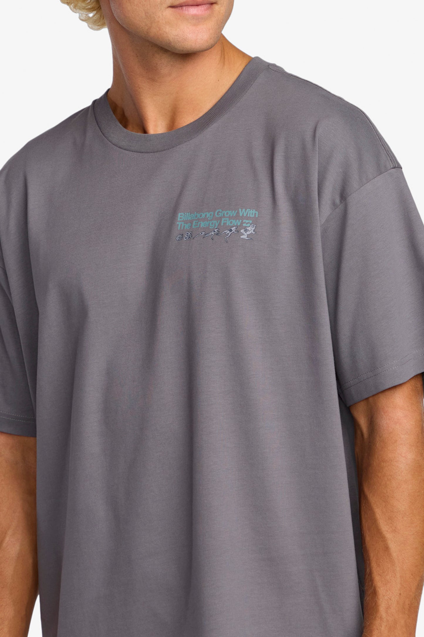 Pukas Surf Shop Billabong Grow OG A/Div graphic tee grey violet relaxed fit