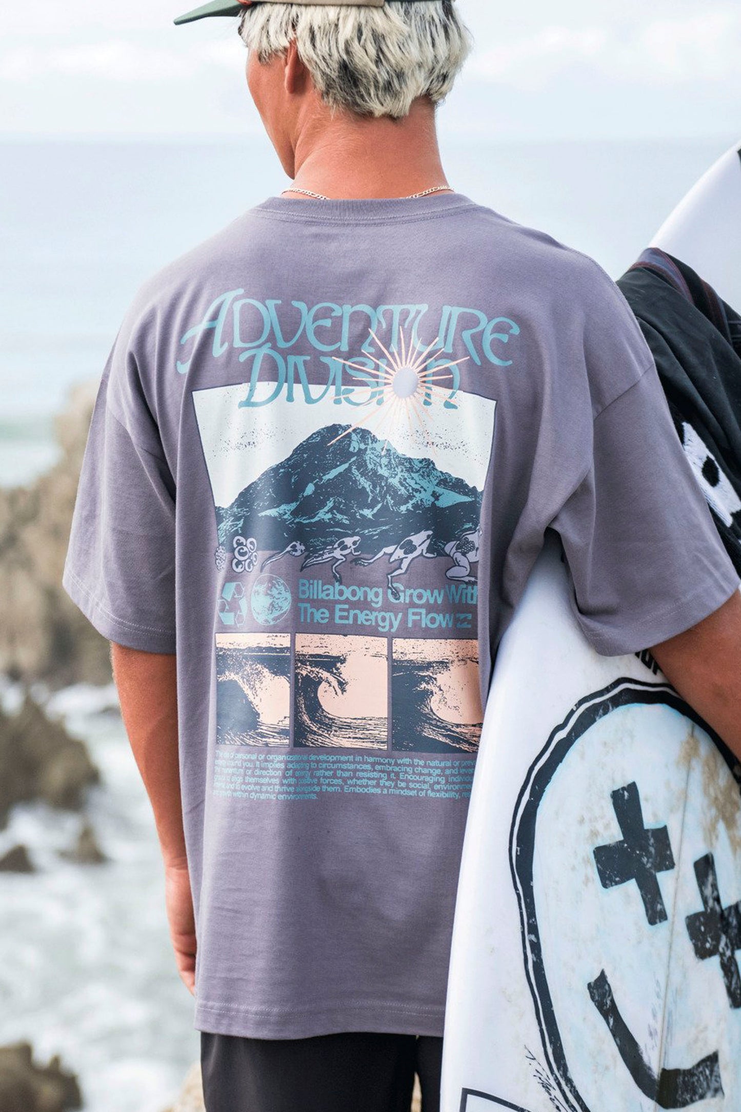 Pukas Surf Shop Billabong Grow OG A/Div graphic tee grey violet relaxed fit