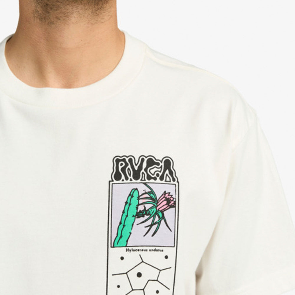 
                      
                        Pukas-Surf-Shop-Man-Tee-Rvca-Science-Salt
                      
                    