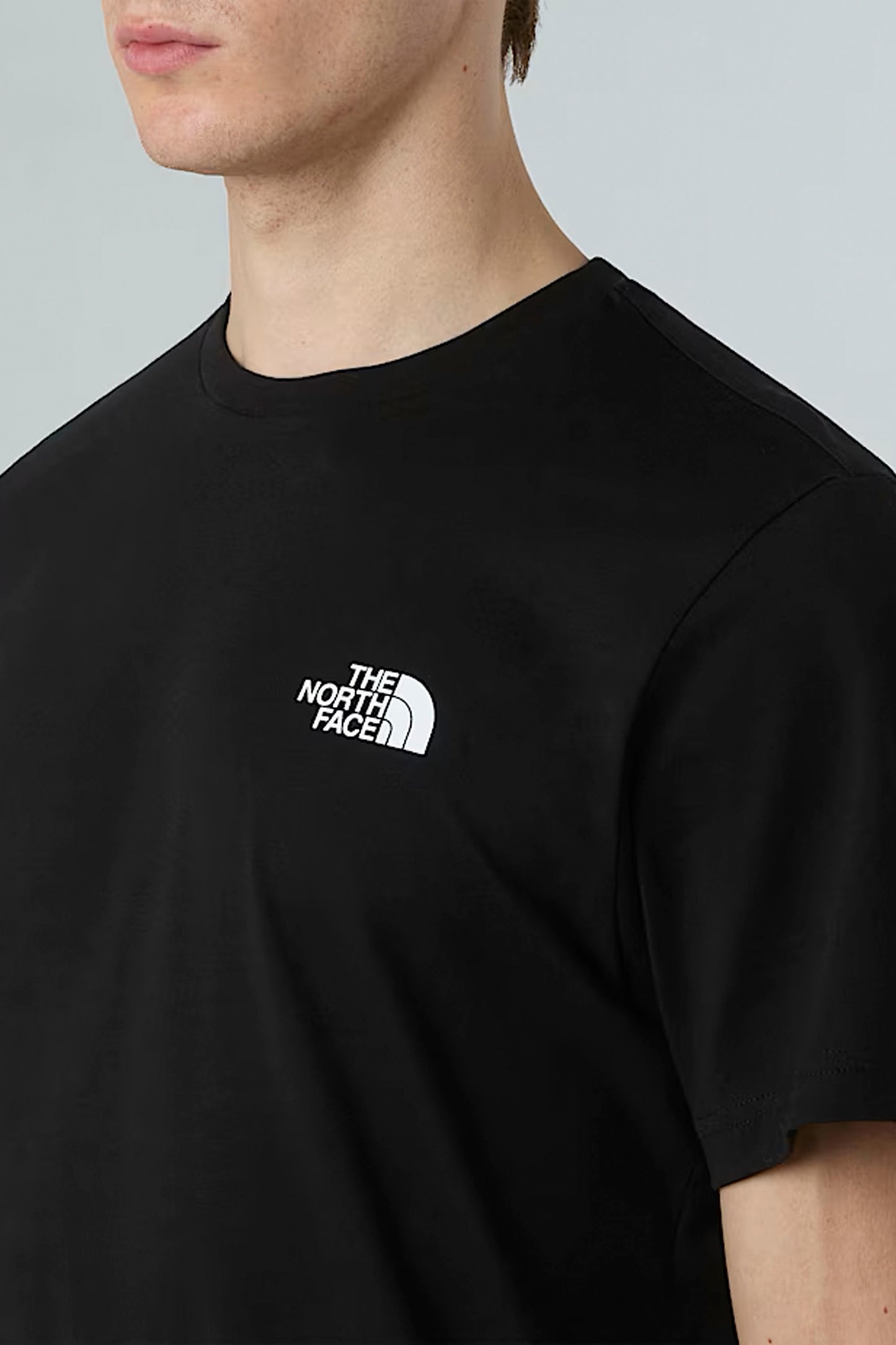 Pukas Surf Shop The North Face NSE Box Raku Horse Infill Tee in ET9