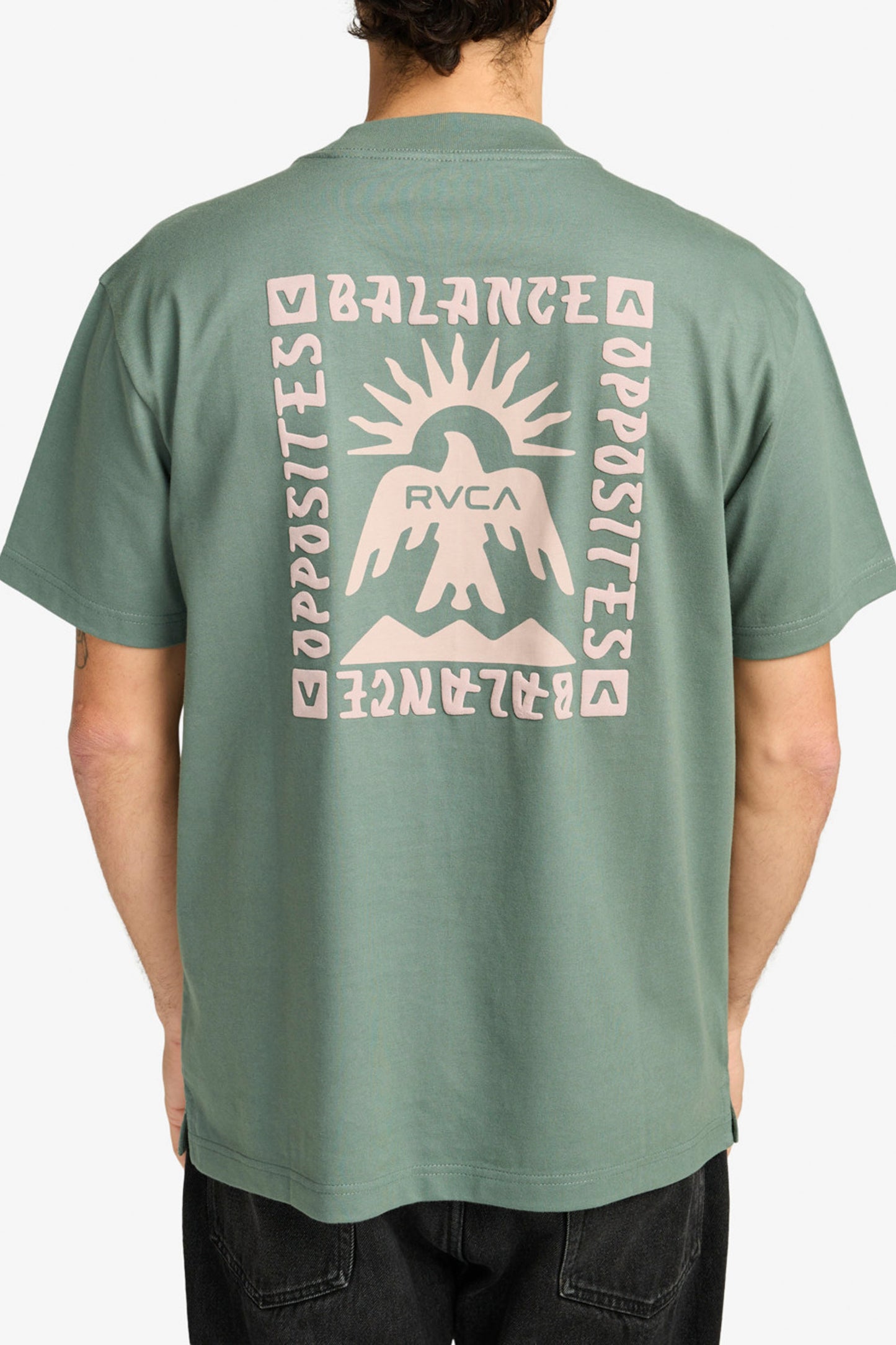 Pukas Surf Shop RVCA men’s graphic t-shirt in Balsam Green