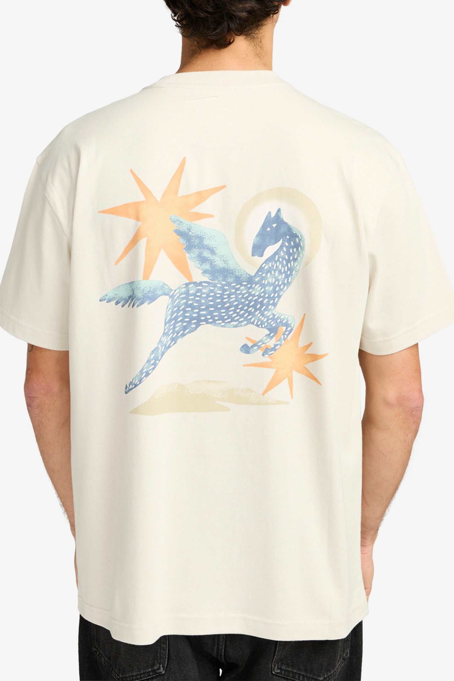 Pukas Surf Shop RVCA men’s graphic tee in Ceramic