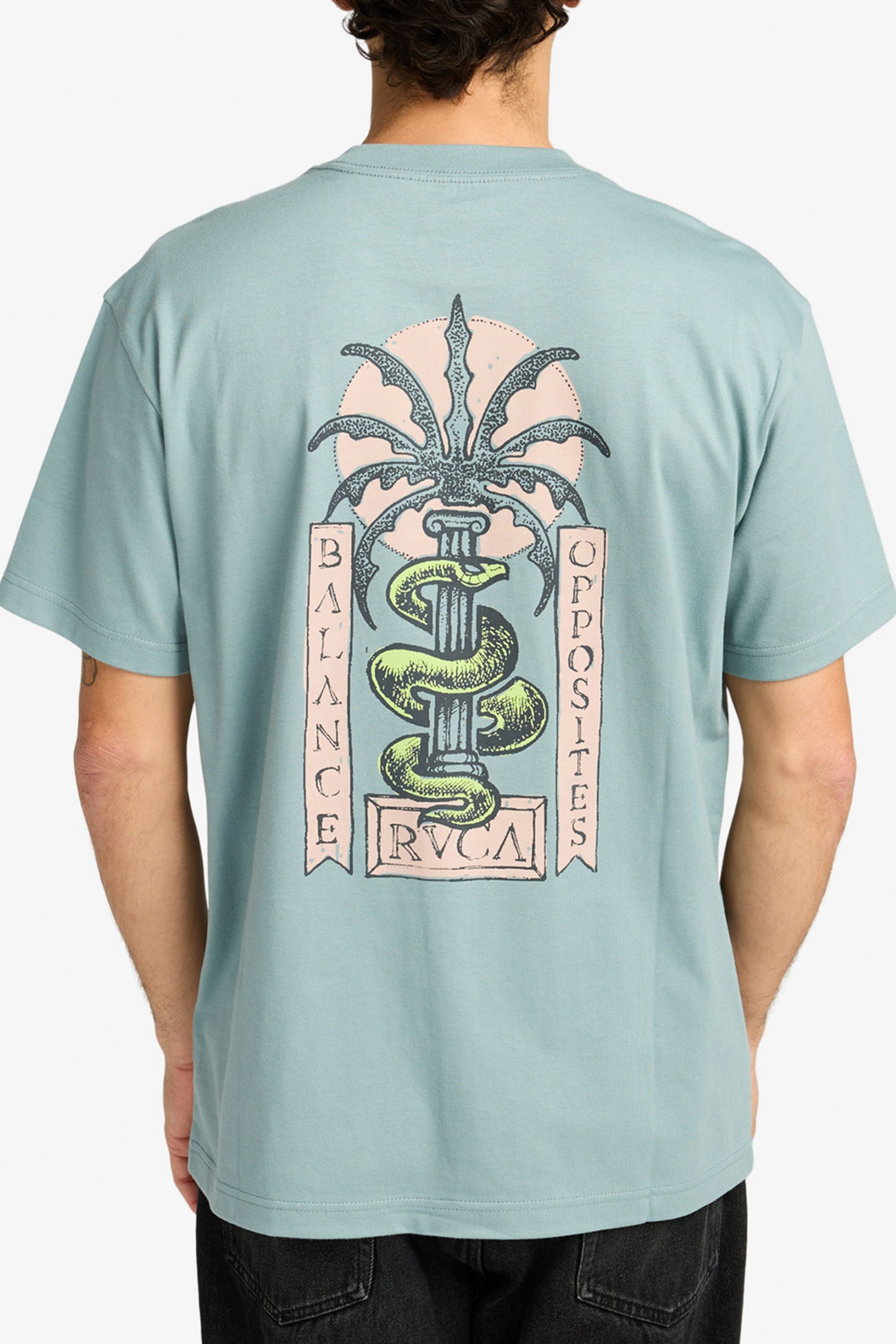 Pukas-Surf-Shop-Rvca-Serpent-Tee-Lead