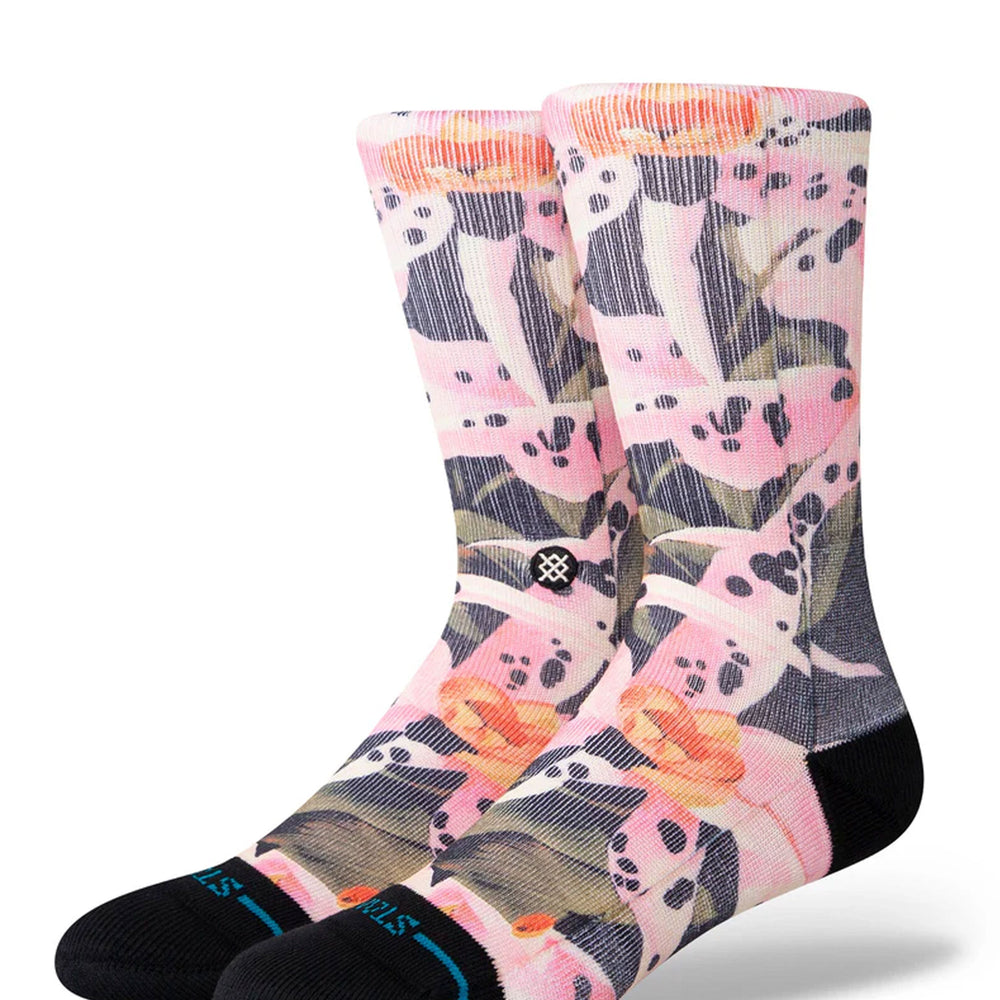 Pukas-Surf-Shop-Socks-Stance-Encyclia