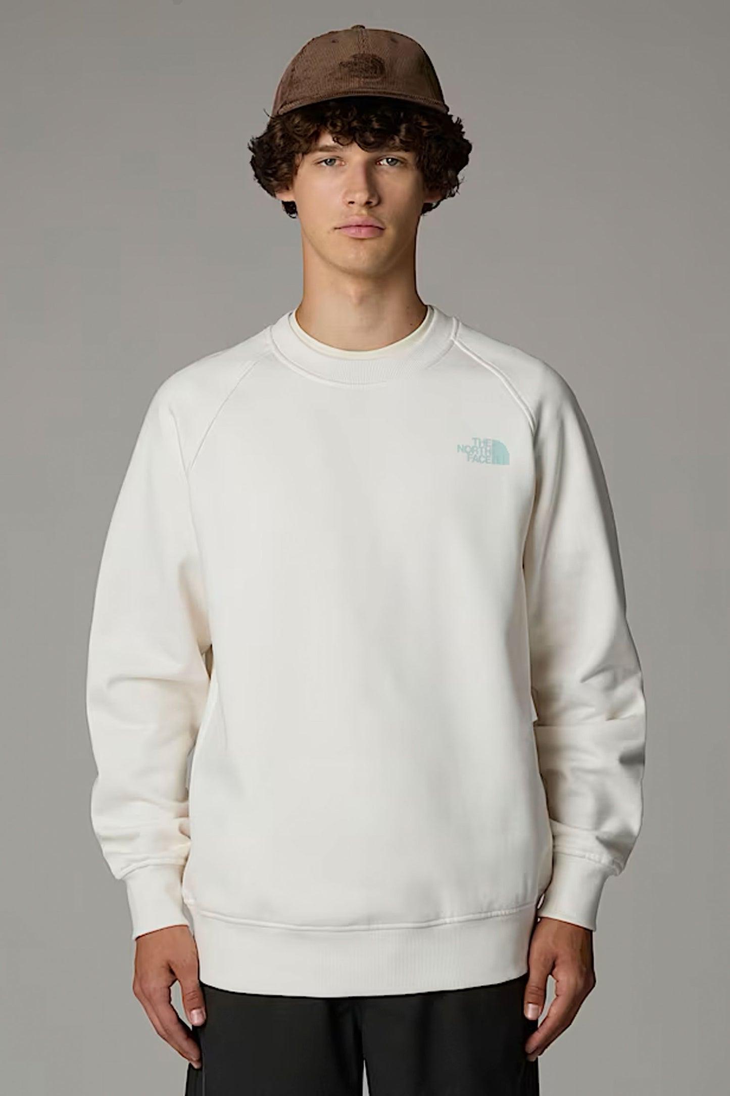 Pukas-Surf-Shop-Sweater-Man-The-North-Face-Raglan-White-Dune