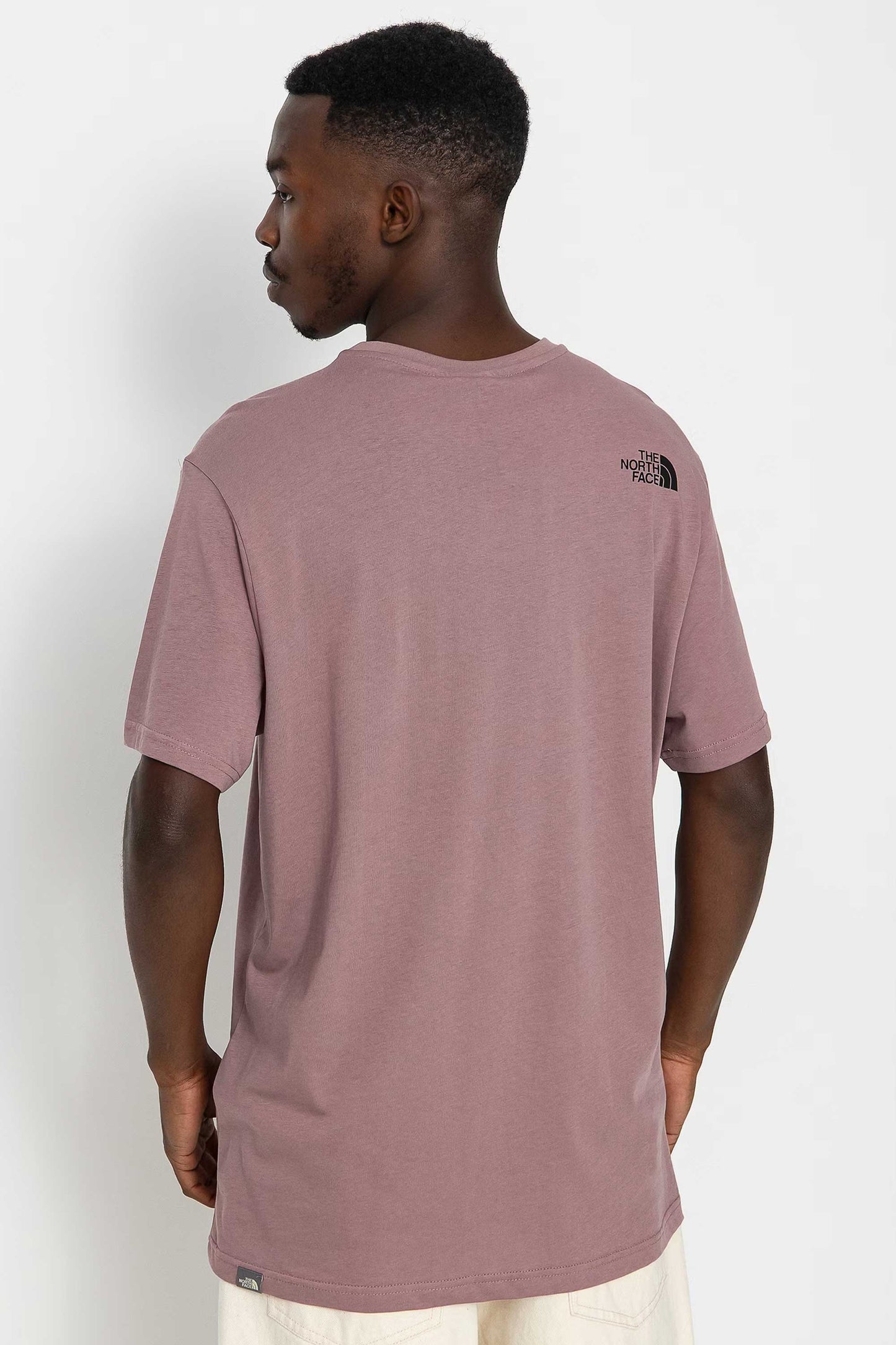 Pukas-Surf-Shop-The-north-face-simple-dome-tee-fawn-grey