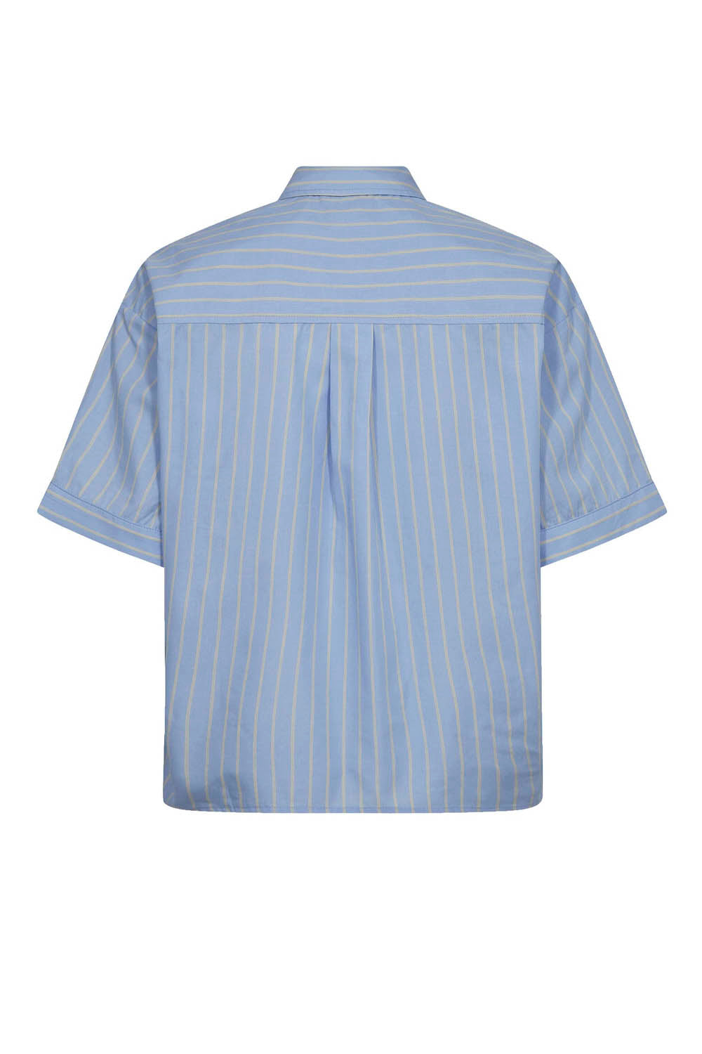 Blue striped shirt with a tie - back vision