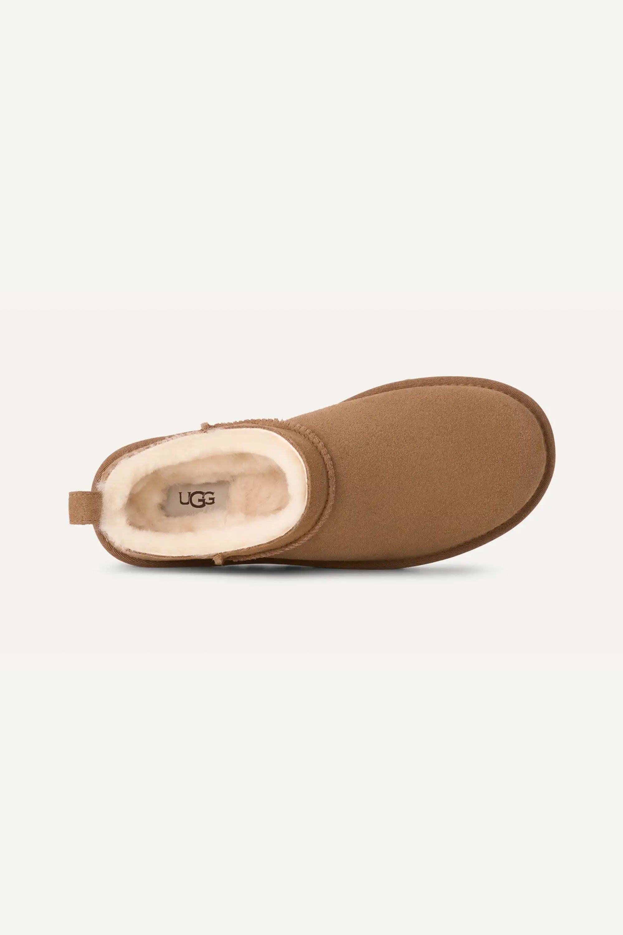 UGG CLASSIC MICRO CHESTNUT | Shop at PUKAS SURF SHOP