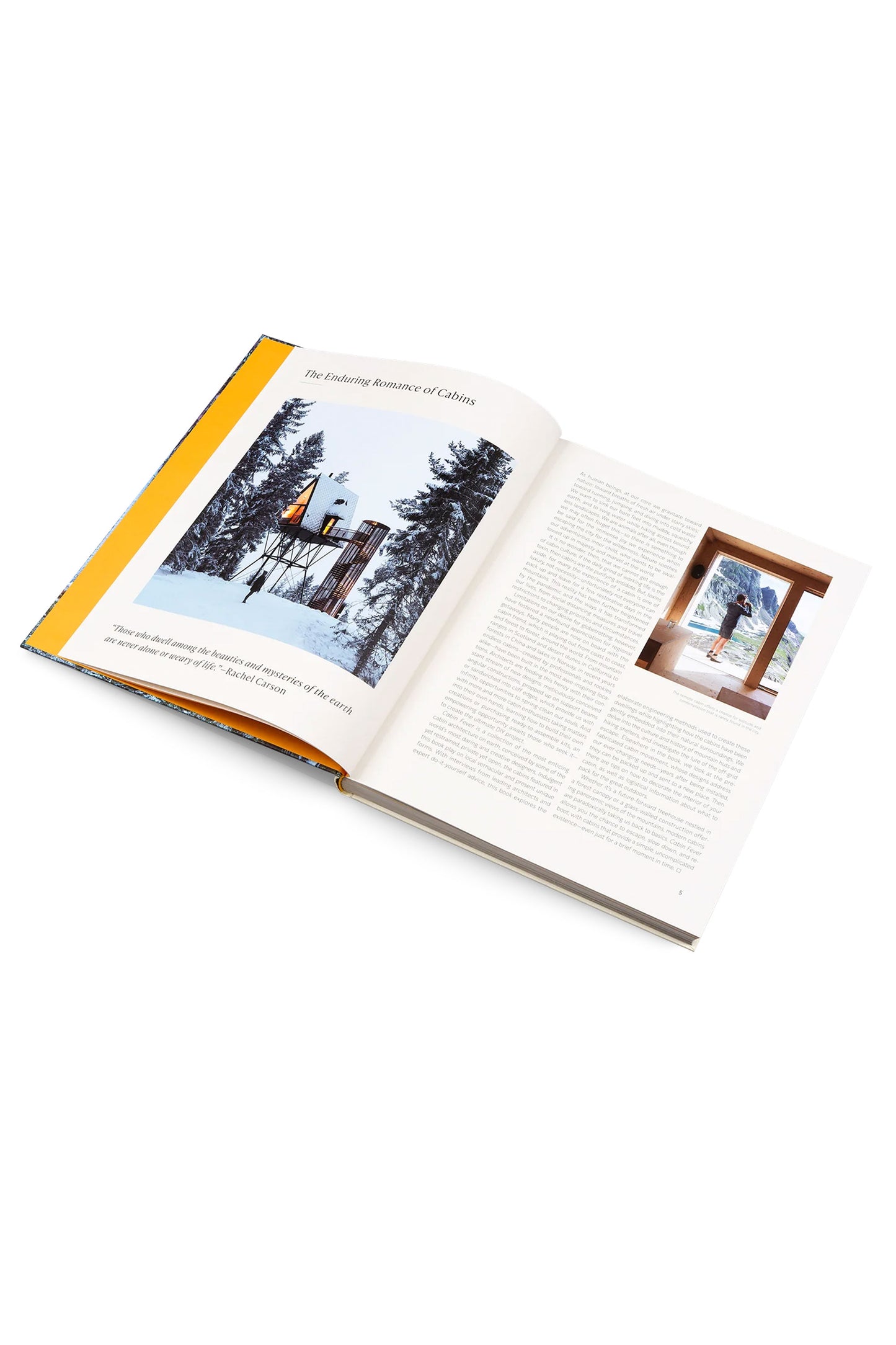 Pukas-Surf-Shop-gestalten-book-cabin-fever-1